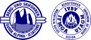 Logo guida alpina